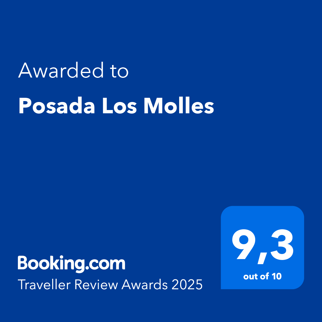 Booking.com Traveller Review Award 2025 - 9.3/10