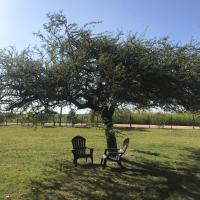 Parrilleros externos